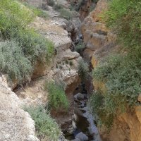 Camminata nel deserto di Giuda lungo il Wadi Kelt fino a Gerico
