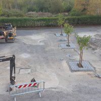 Autobloccanti intorno ai gelsi